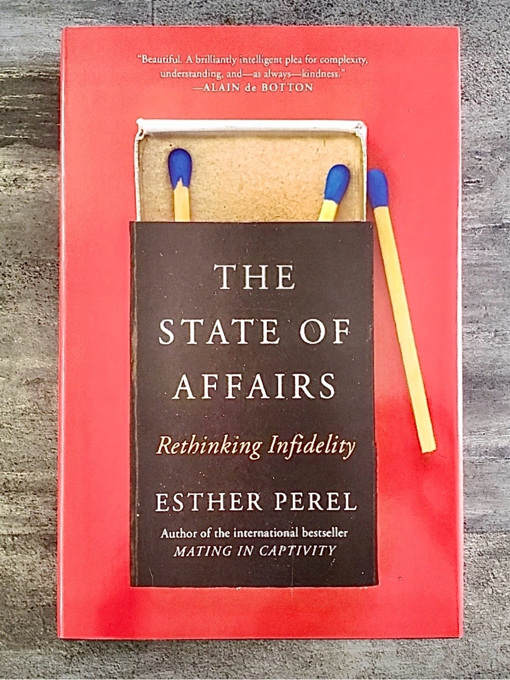 ESTHER PEREL The State of Affairs Paperback Book